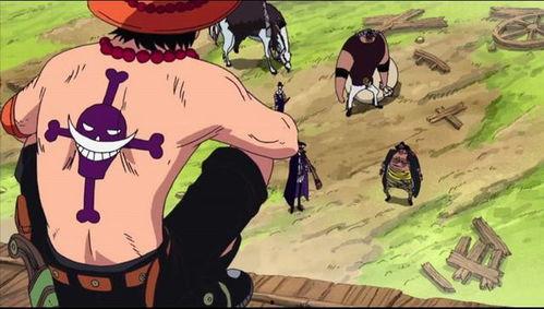 赤犬元帅爆料视频大全,独家爆料视频大全深度解析  第1张